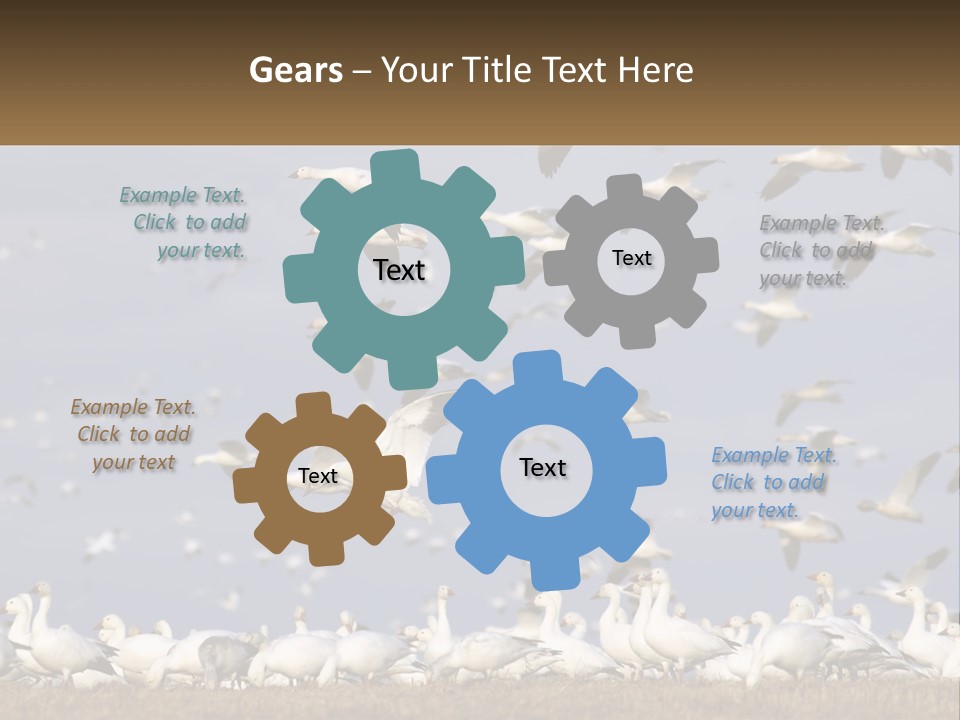 Spring Hunt Flock PowerPoint Template