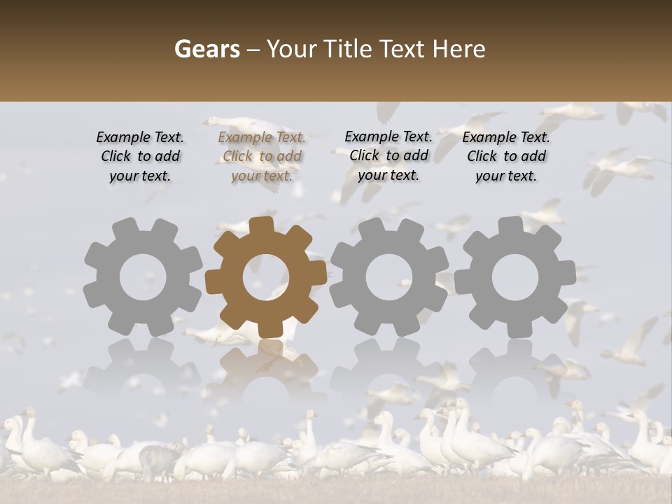 Spring Hunt Flock PowerPoint Template
