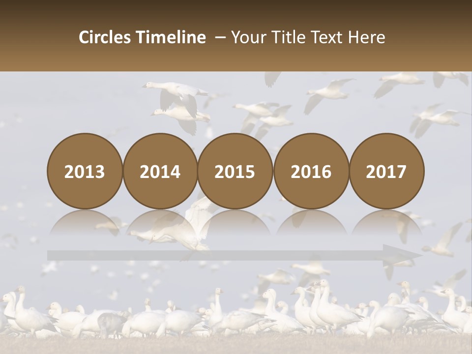 Spring Hunt Flock PowerPoint Template