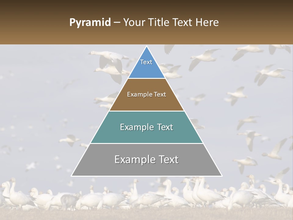 Spring Hunt Flock PowerPoint Template