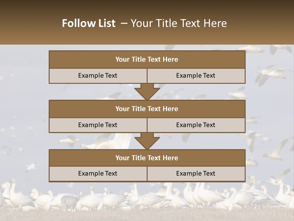 Spring Hunt Flock PowerPoint Template