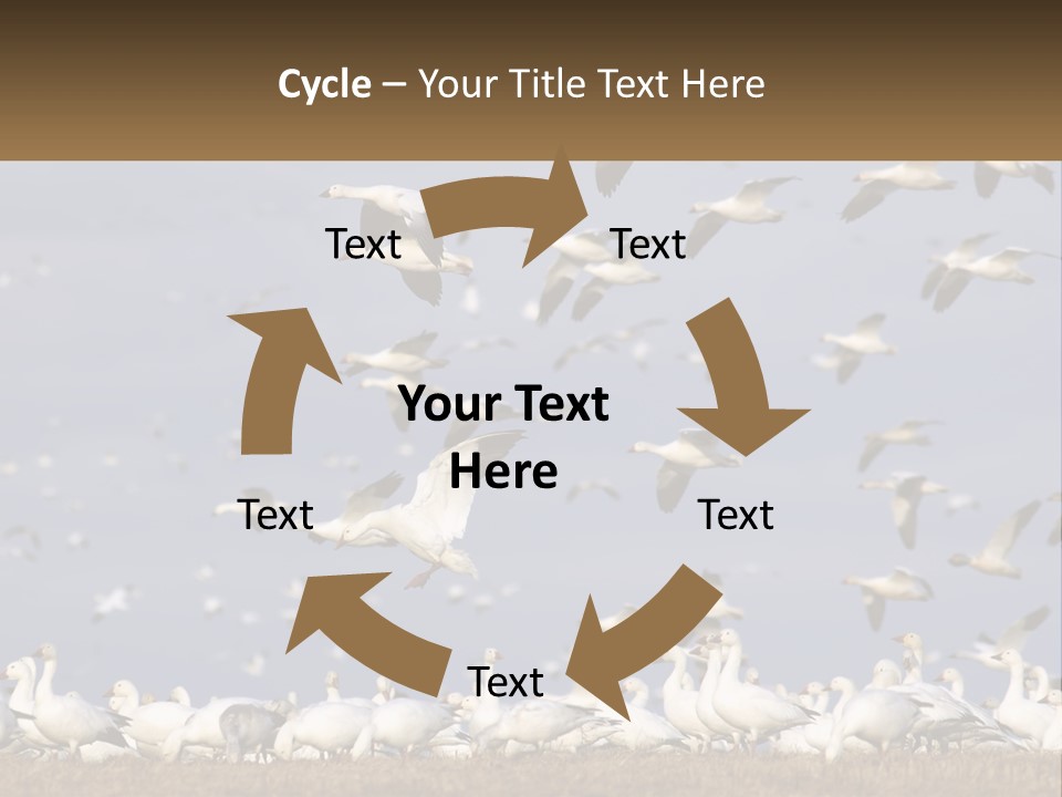 Spring Hunt Flock PowerPoint Template
