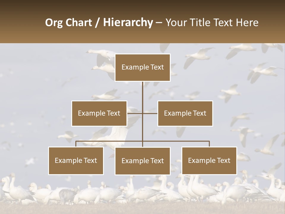 Spring Hunt Flock PowerPoint Template