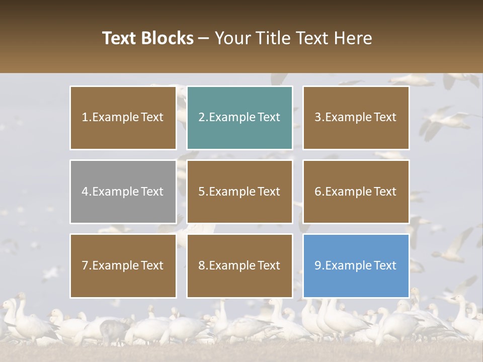 Spring Hunt Flock PowerPoint Template