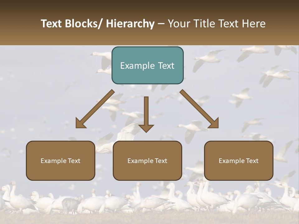 Spring Hunt Flock PowerPoint Template