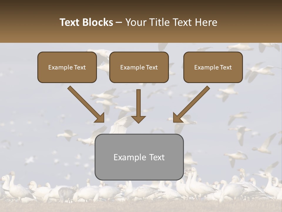Spring Hunt Flock PowerPoint Template