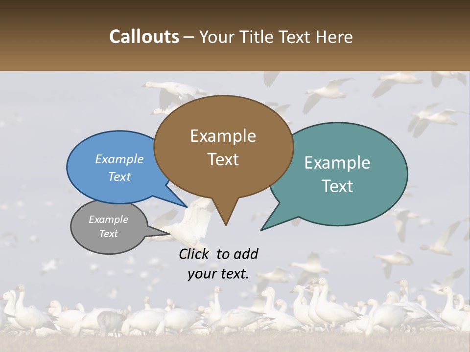 Spring Hunt Flock PowerPoint Template