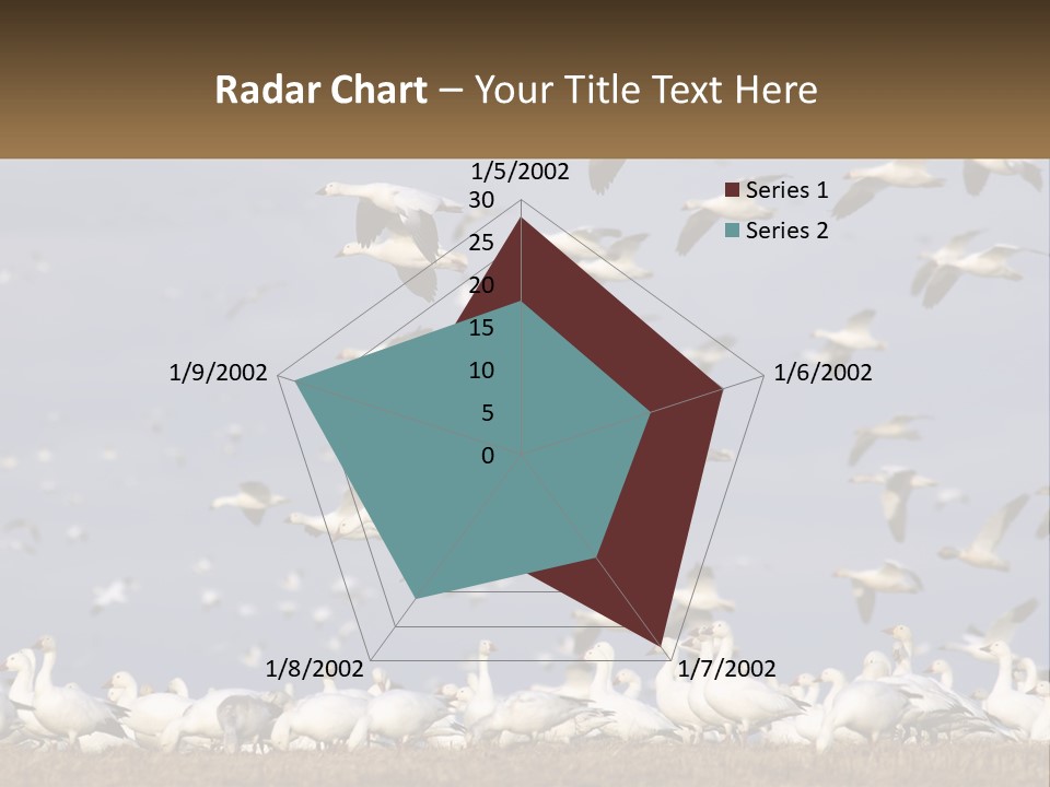 Spring Hunt Flock PowerPoint Template