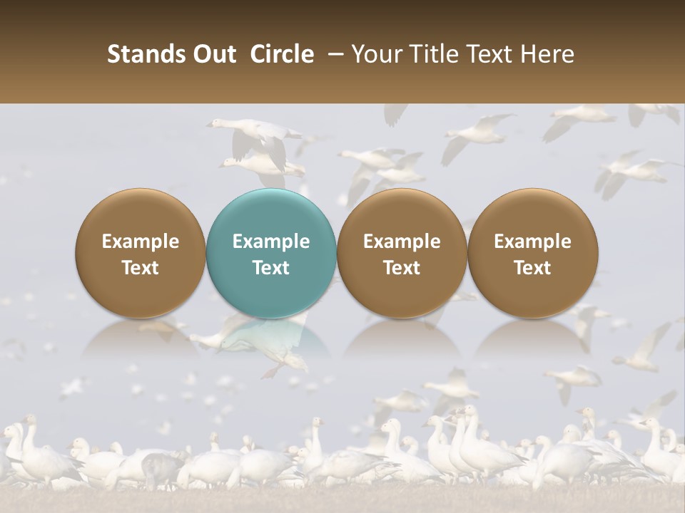 Spring Hunt Flock PowerPoint Template