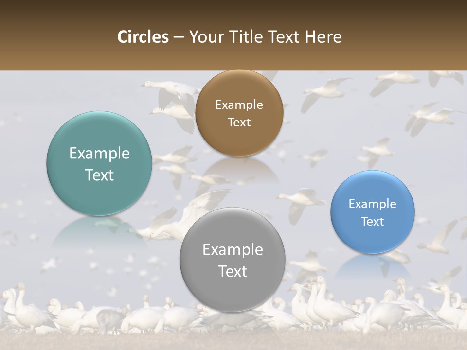 Spring Hunt Flock PowerPoint Template