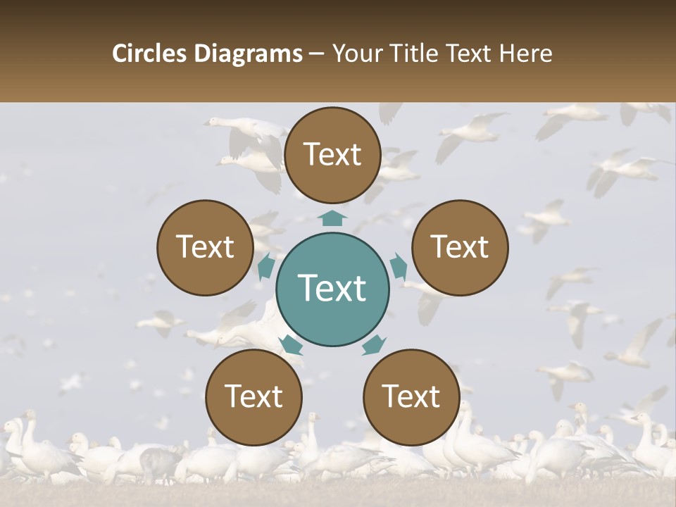 Spring Hunt Flock PowerPoint Template