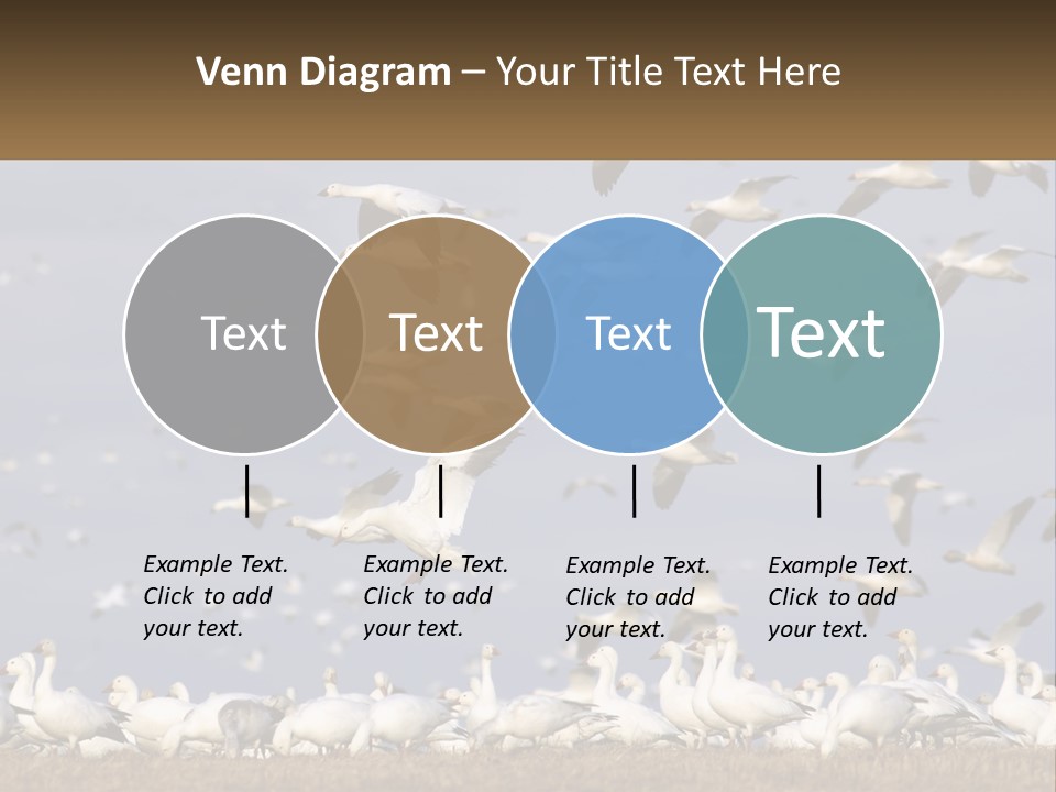 Spring Hunt Flock PowerPoint Template