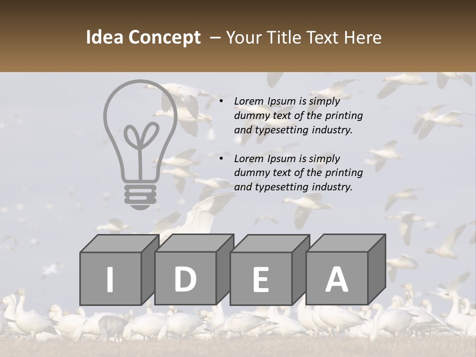 Spring Hunt Flock PowerPoint Template