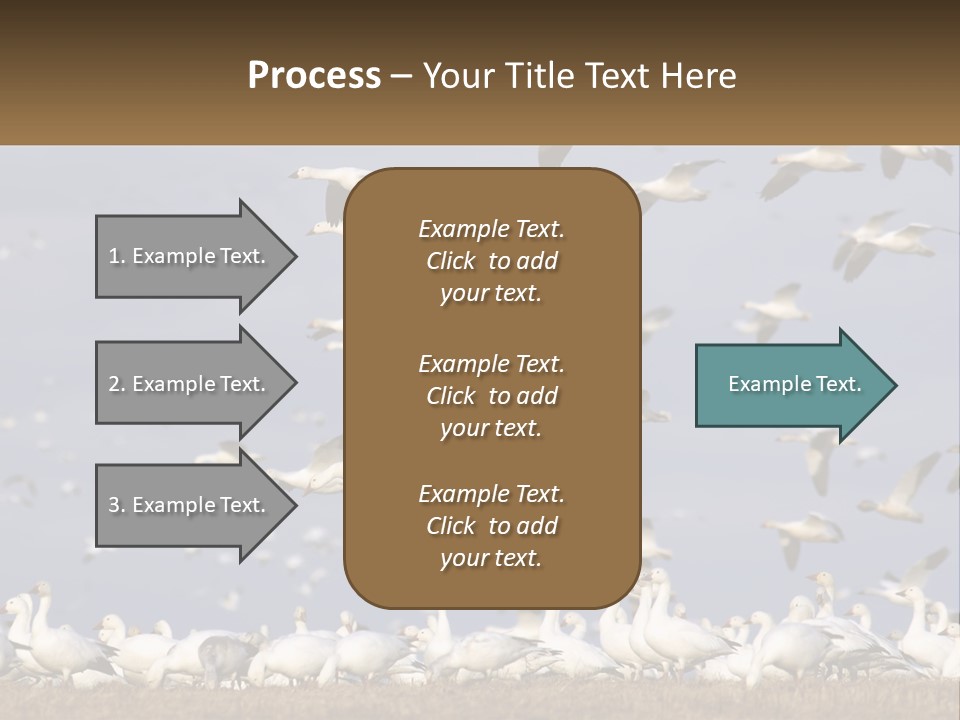 Spring Hunt Flock PowerPoint Template
