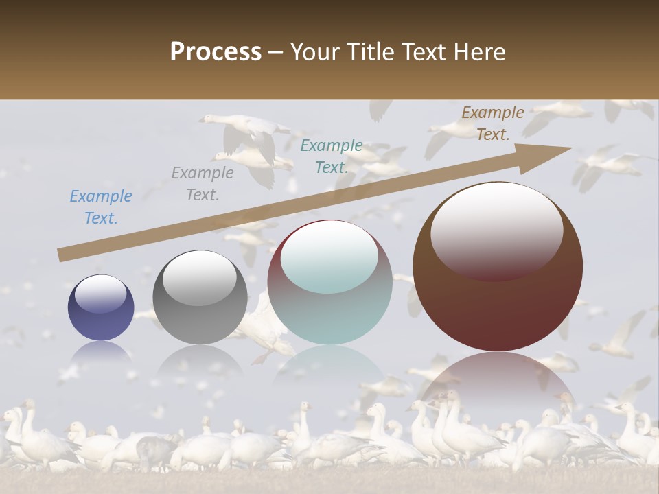 Spring Hunt Flock PowerPoint Template