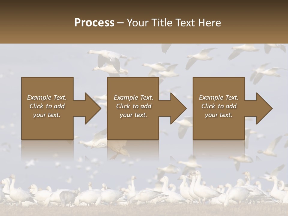 Spring Hunt Flock PowerPoint Template