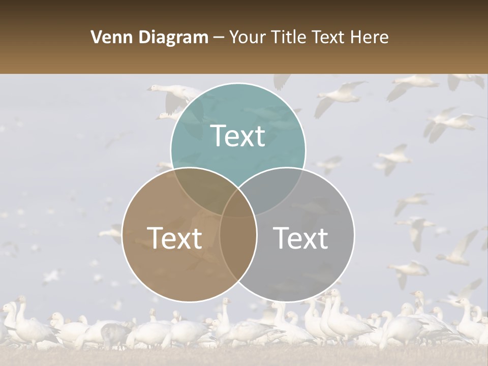 Spring Hunt Flock PowerPoint Template