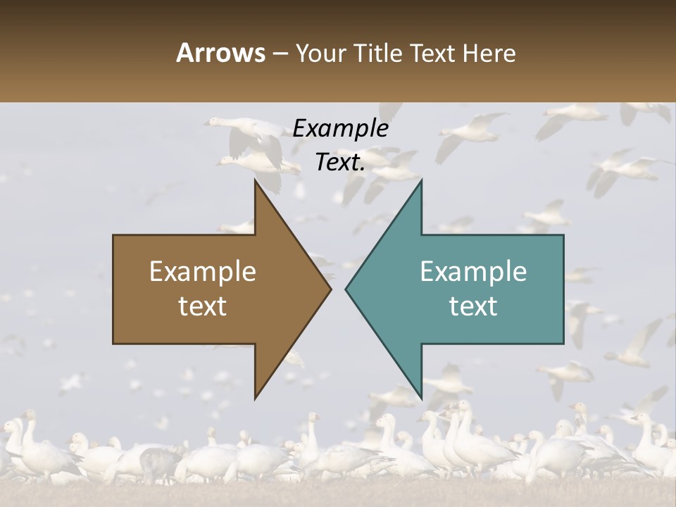 Spring Hunt Flock PowerPoint Template