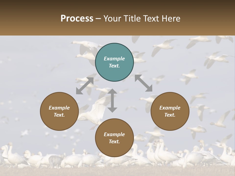 Spring Hunt Flock PowerPoint Template