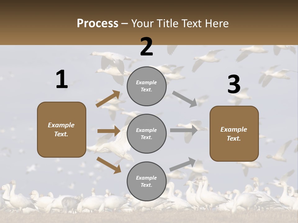 Spring Hunt Flock PowerPoint Template