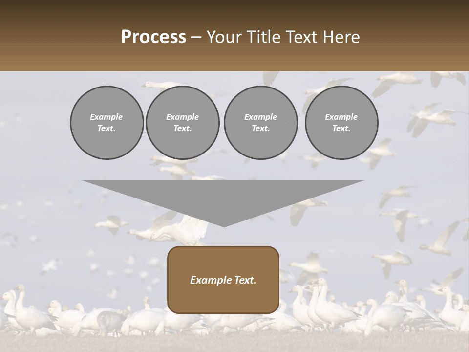 Spring Hunt Flock PowerPoint Template