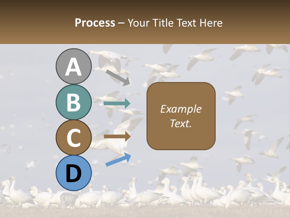 Spring Hunt Flock PowerPoint Template
