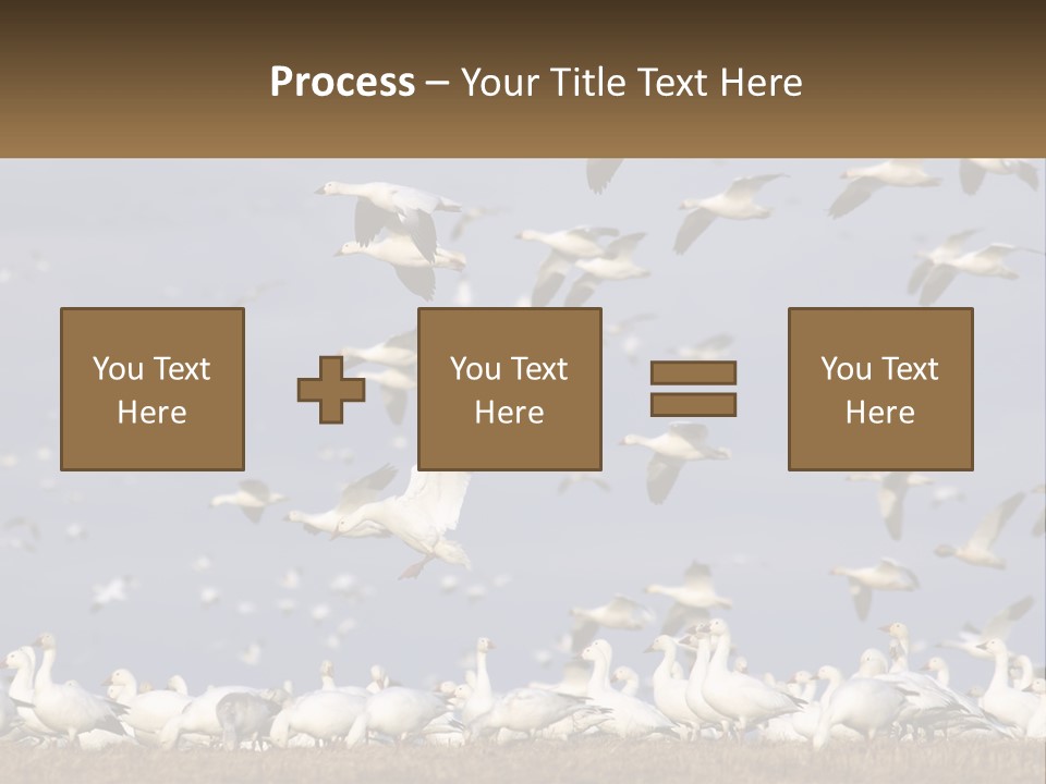 Spring Hunt Flock PowerPoint Template
