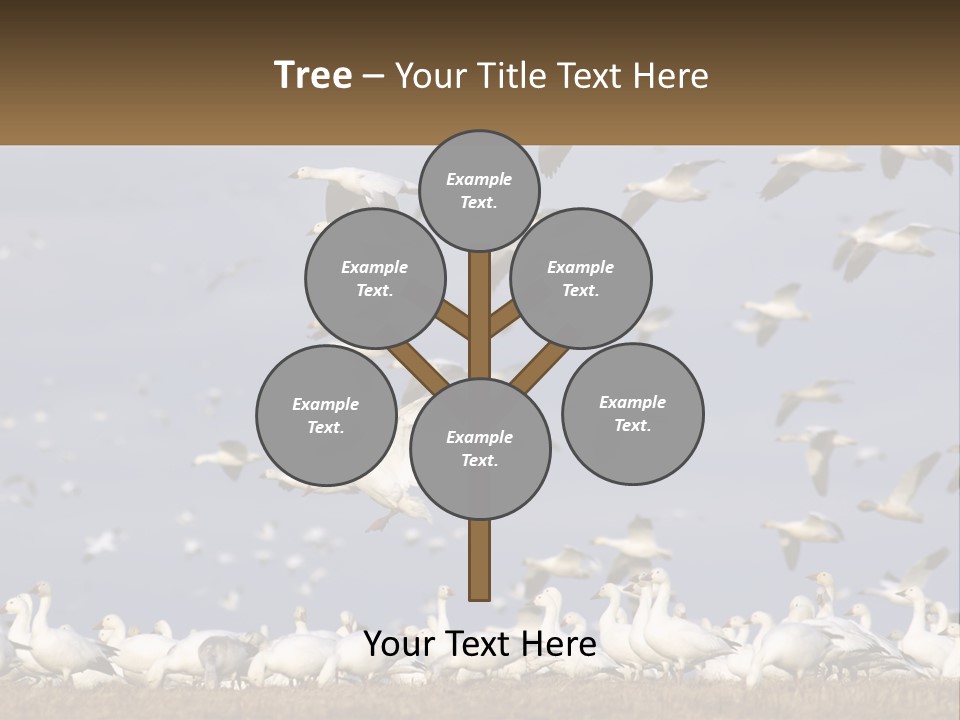 Spring Hunt Flock PowerPoint Template