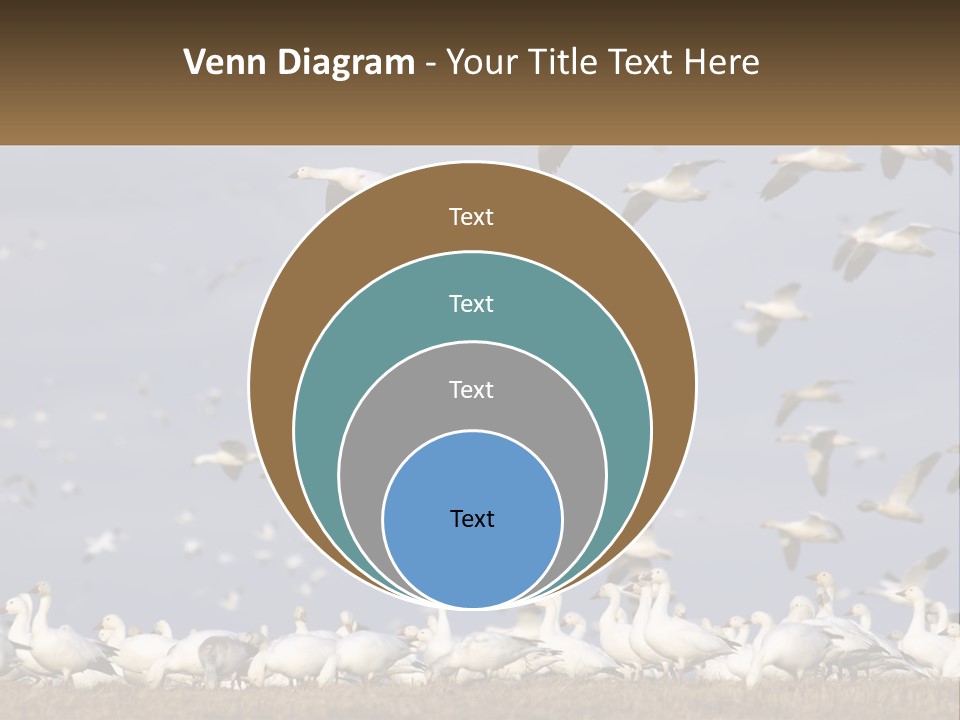 Spring Hunt Flock PowerPoint Template