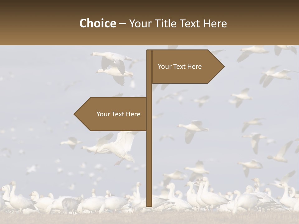 Spring Hunt Flock PowerPoint Template