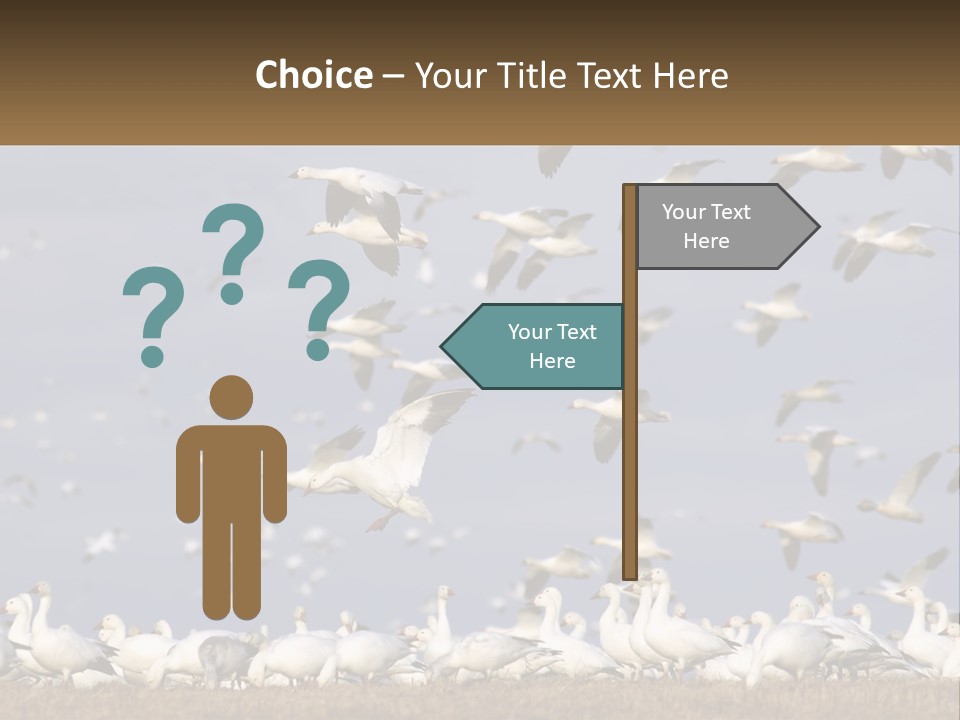 Spring Hunt Flock PowerPoint Template