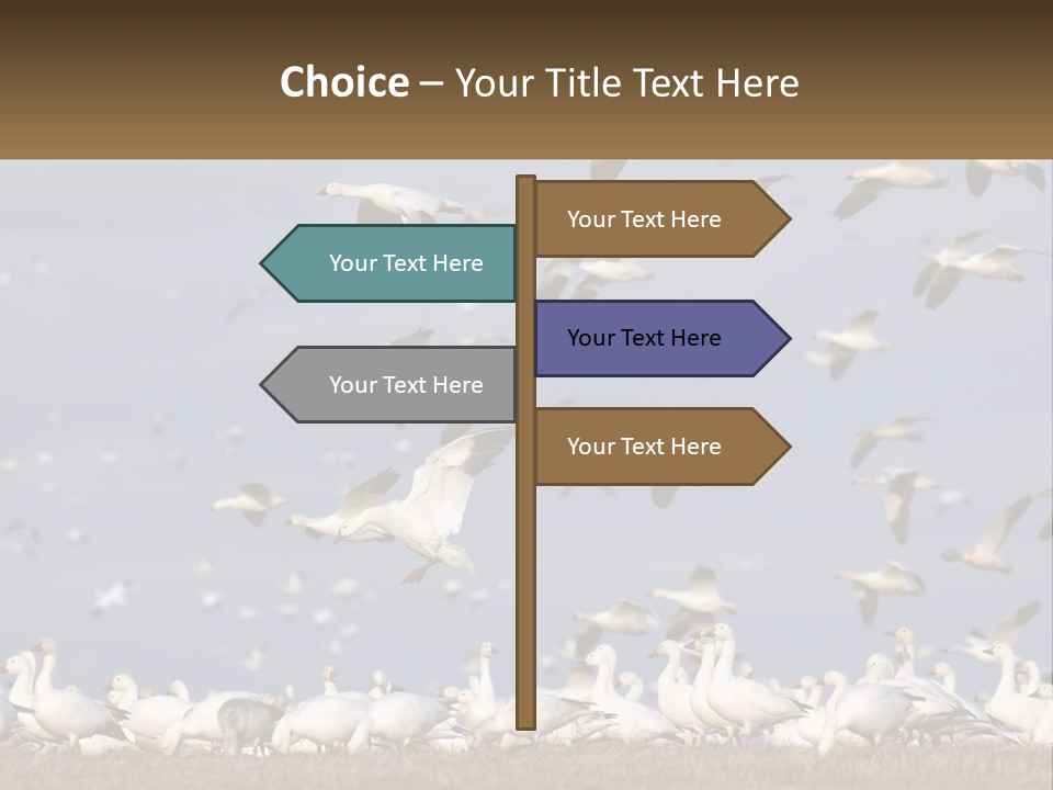 Spring Hunt Flock PowerPoint Template
