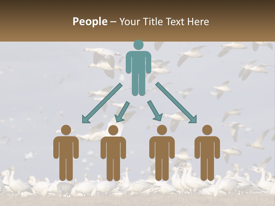 Spring Hunt Flock PowerPoint Template