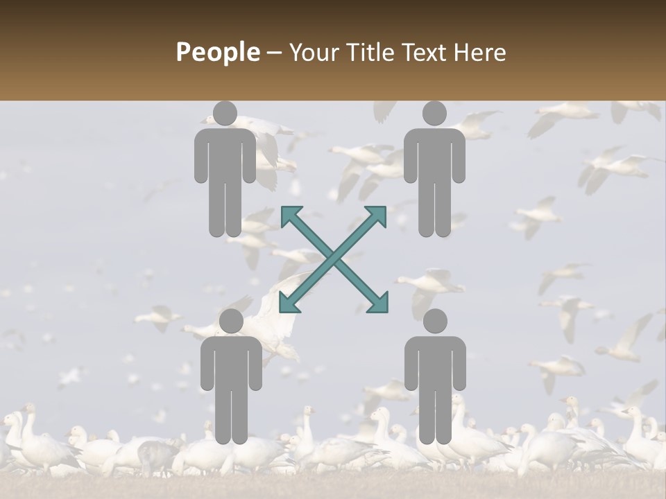 Spring Hunt Flock PowerPoint Template