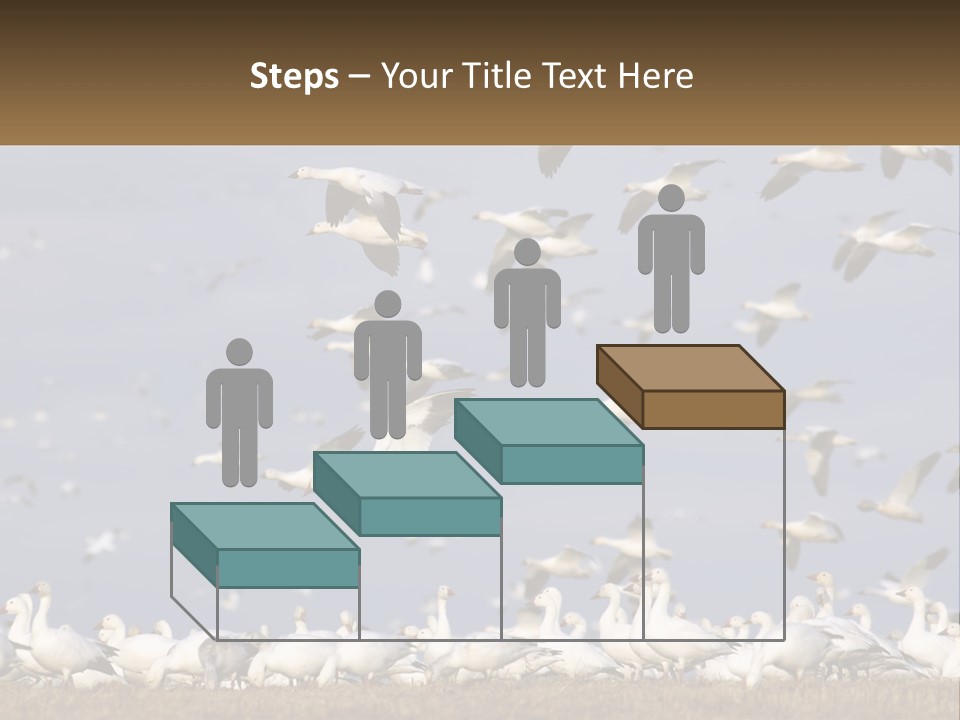 Spring Hunt Flock PowerPoint Template