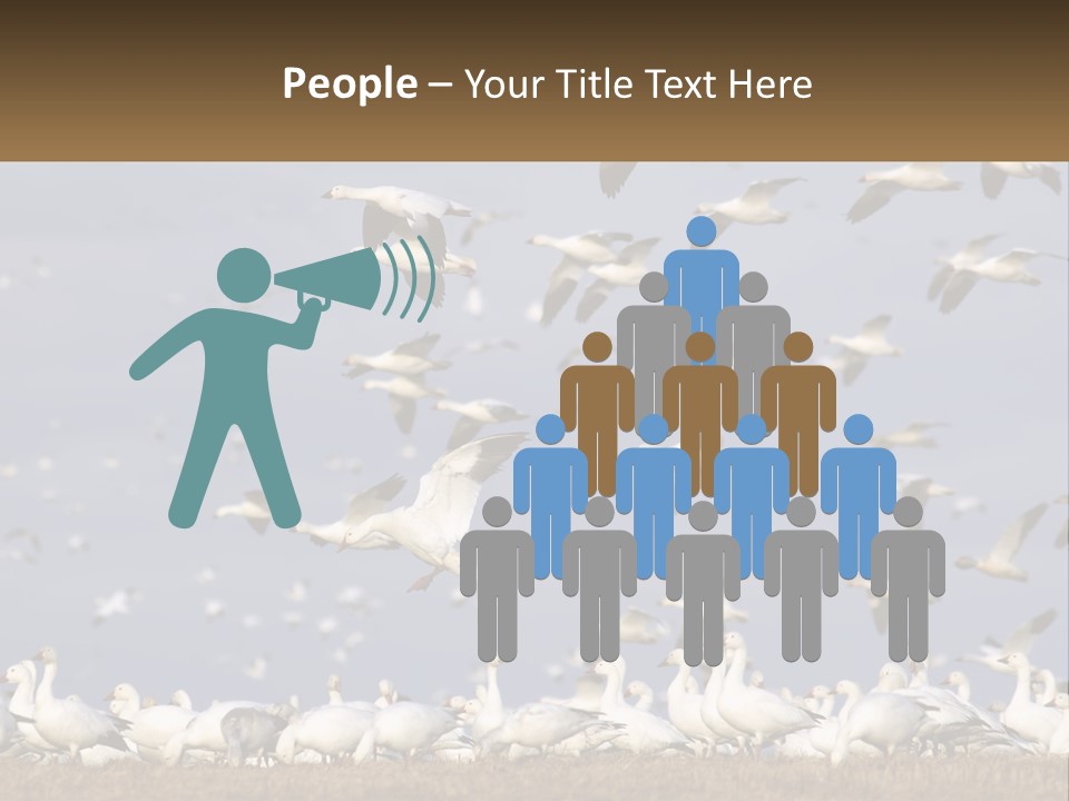 Spring Hunt Flock PowerPoint Template