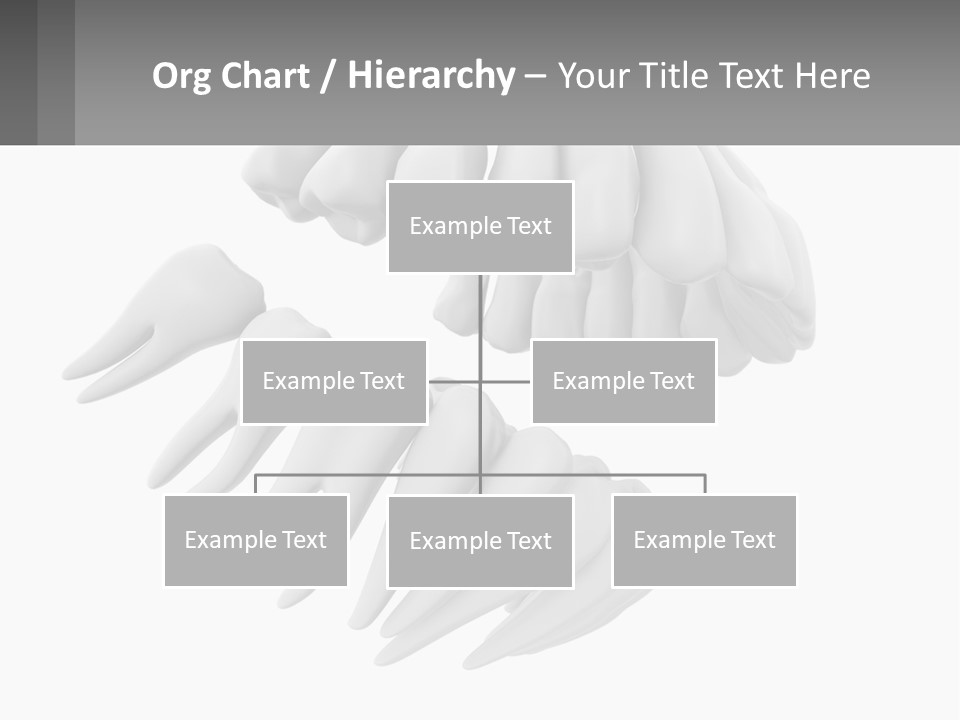 Isolated Medical Lower PowerPoint Template