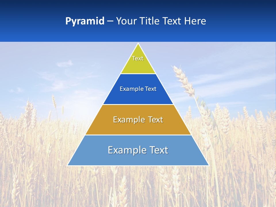 Farmland Blue Sky PowerPoint Template