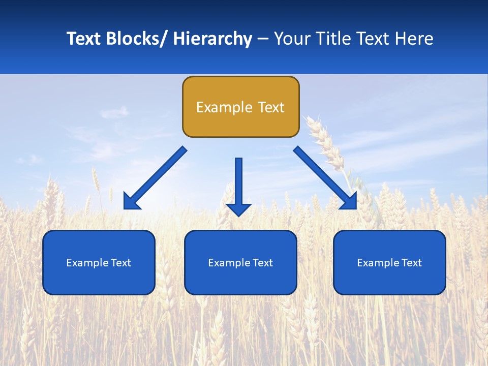 Farmland Blue Sky PowerPoint Template