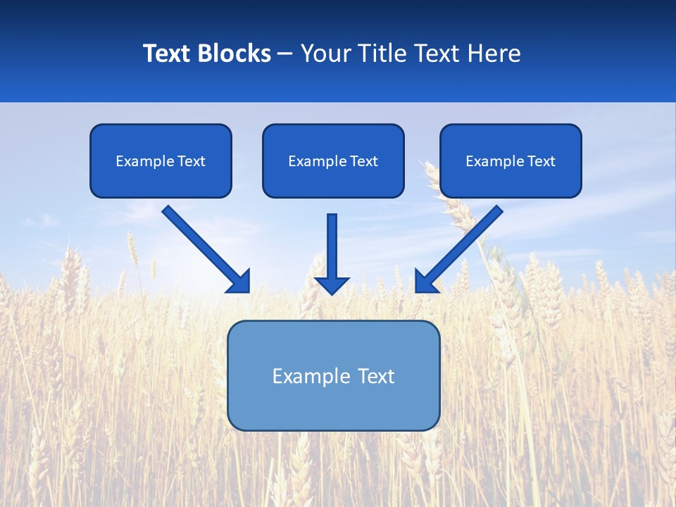Farmland Blue Sky PowerPoint Template