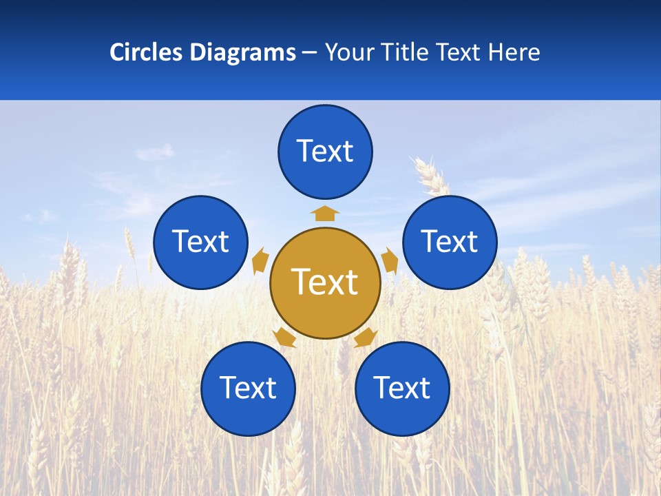 Farmland Blue Sky PowerPoint Template