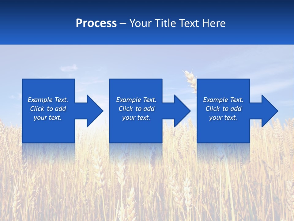 Farmland Blue Sky PowerPoint Template