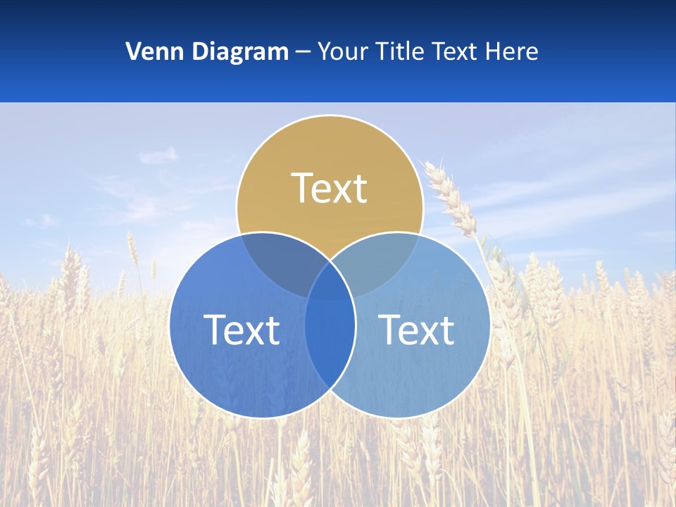 Farmland Blue Sky PowerPoint Template