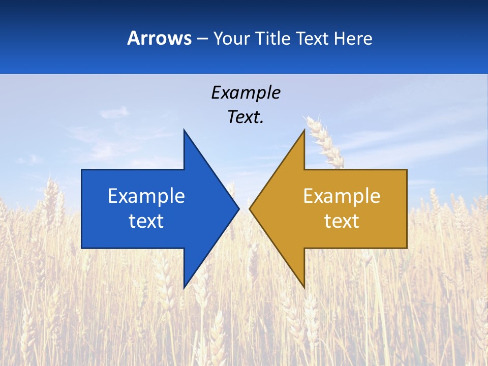 Farmland Blue Sky PowerPoint Template