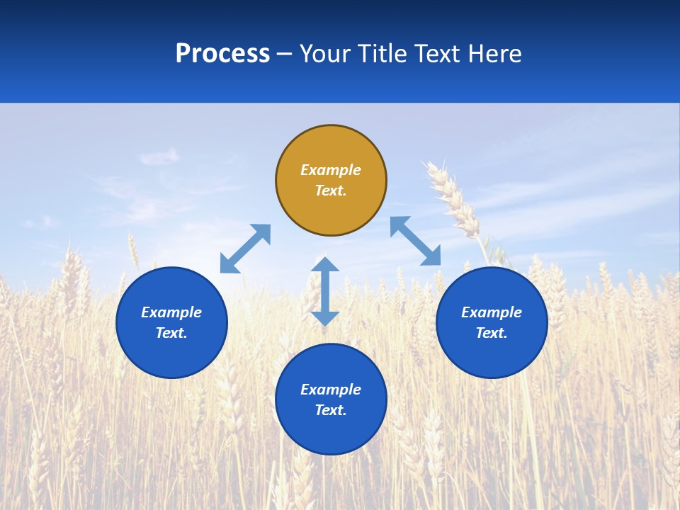 Farmland Blue Sky PowerPoint Template