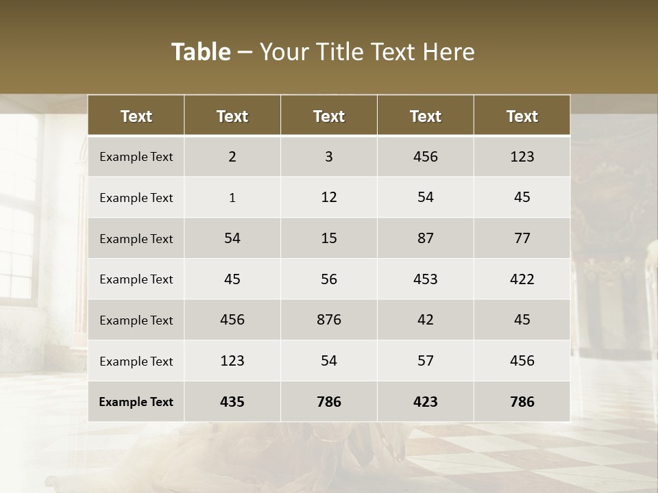 Stylish Elegant Figure PowerPoint Template