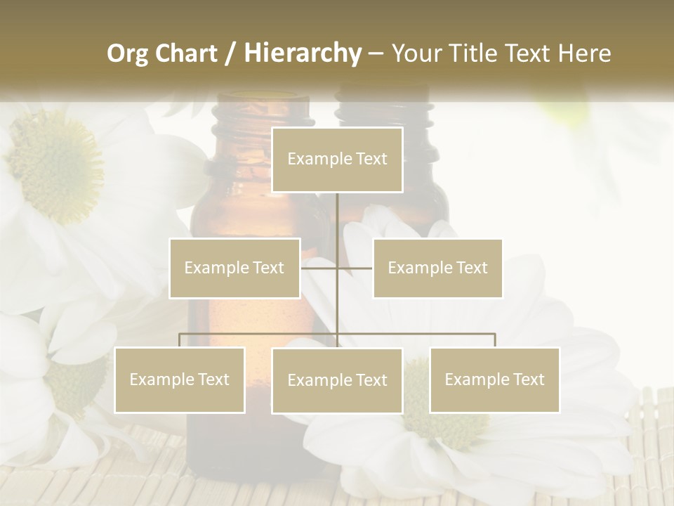 Therapy Aromatic Essential PowerPoint Template