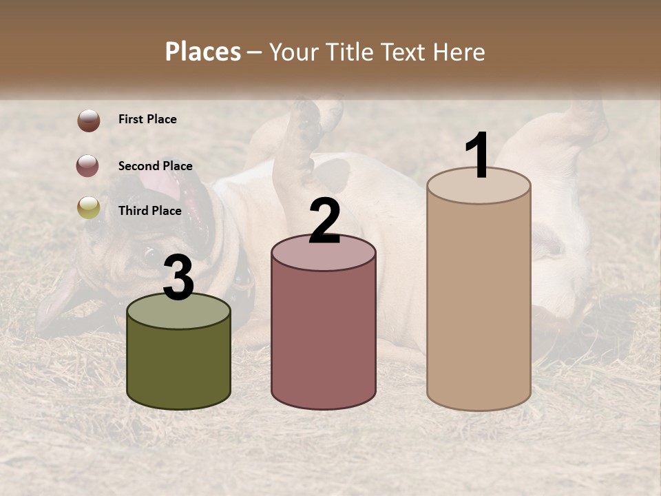 Humor Shows Adorable PowerPoint Template