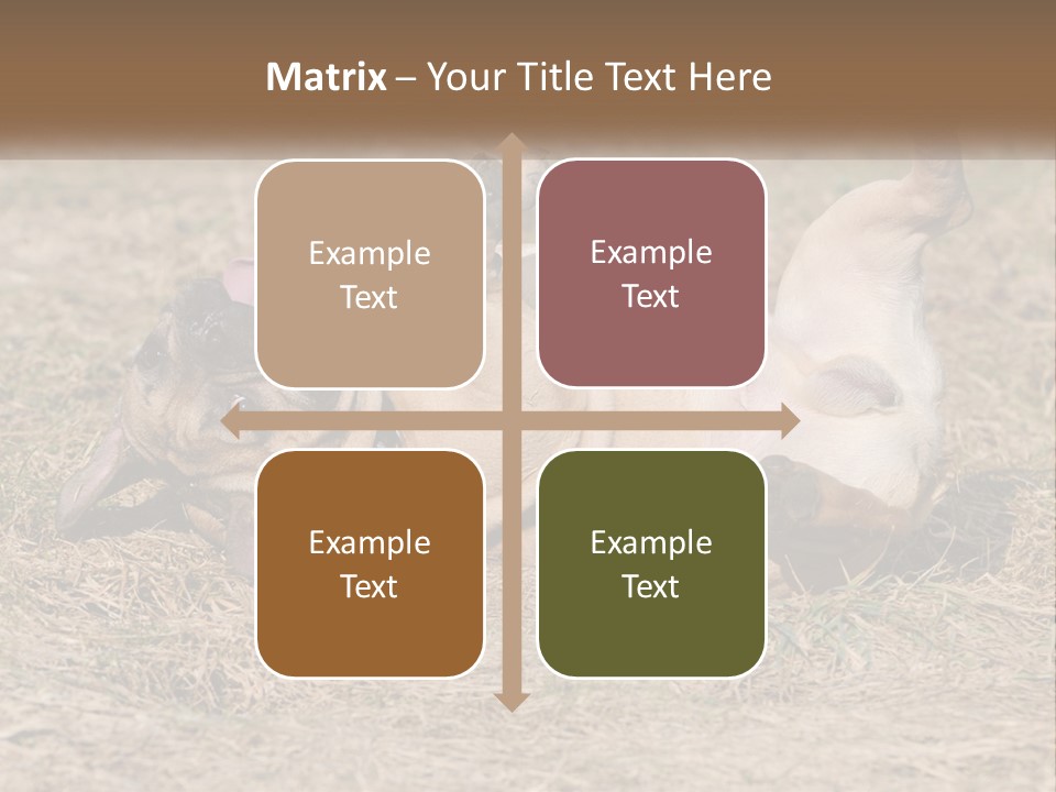 Humor Shows Adorable PowerPoint Template