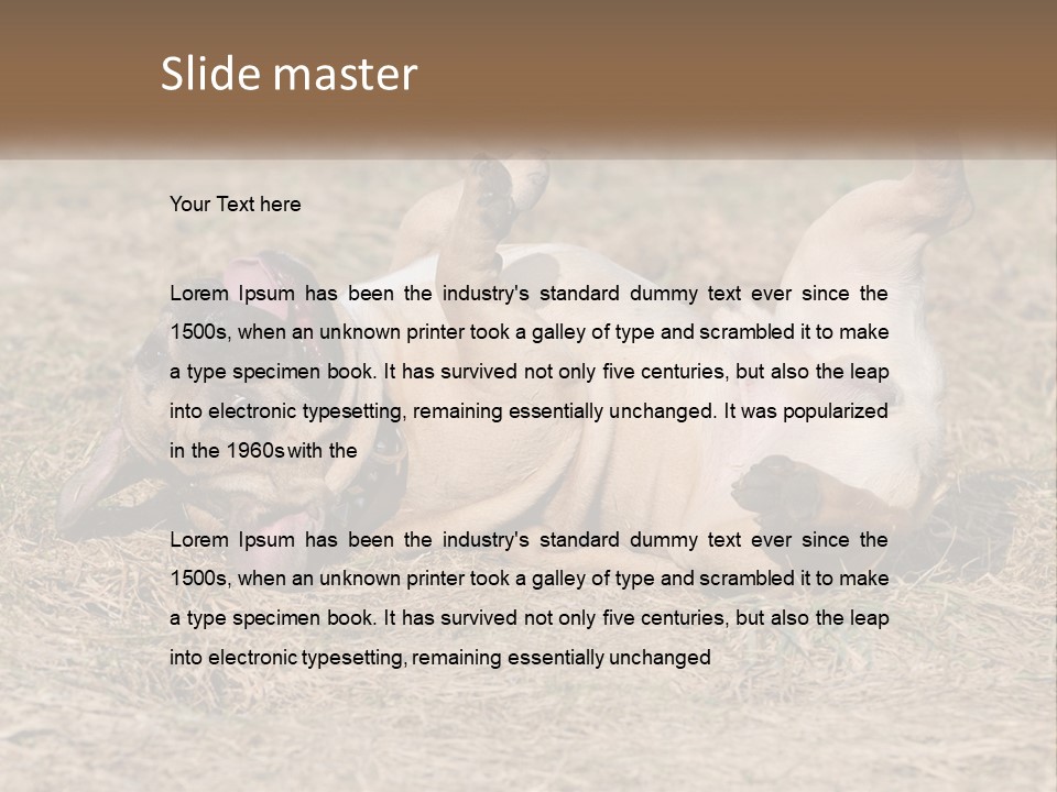 Humor Shows Adorable PowerPoint Template